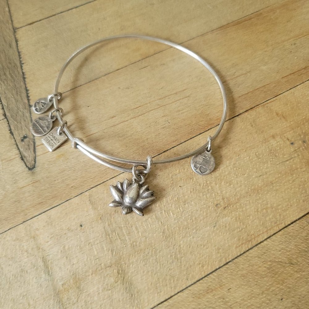 Alex and ani bracelet